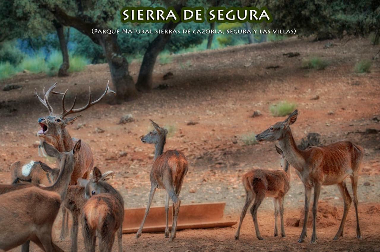 La Vieja Parra La Puerta de Segura Exterior foto
